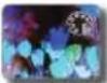 SAMSUNG HMX-Q200RN - Digital Effect - 5