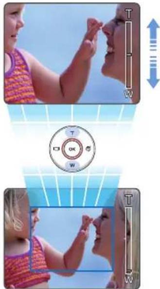 Illustration showing a person performing a physical exercise with directional arrows and a circular control dial labeled T, W.