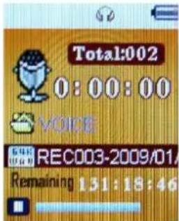 Total:002 0:00:00 VOICE RECO3-2009/01/ Remaining 131:18:46