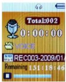 Total:002 0:00:00 VOICE REC003-2009/01/ Remaining 131:18:46