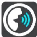 TOMTOM Bridge 15100 - Voices - 1