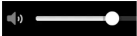 TOMTOM Bridge 14500 - Volume control - 1