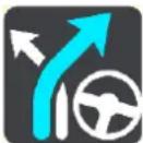 TOMTOM Bridge 14500 - The Current Route Menu - 10