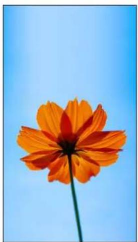 HTC Desire 512 - Wallpaper - 1