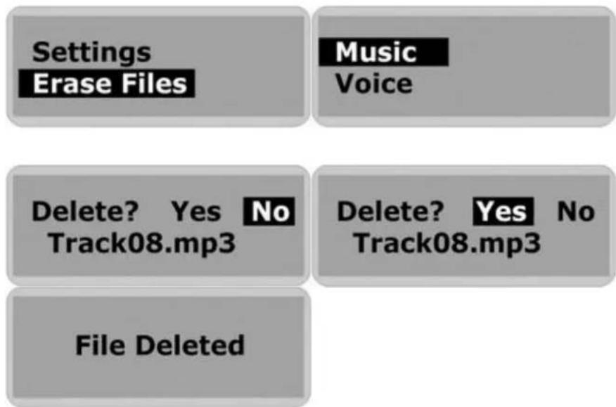 CURTIS MP256E - Warning: Erased files cannot be recovered. - 1