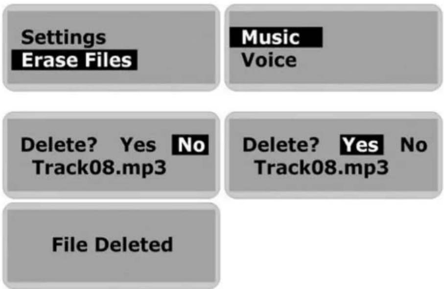 CURTIS MP514 - Warning: Erased files cannot be recovered. - 1
