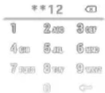Karbonn Platinium P9 Pro - PIN - 1