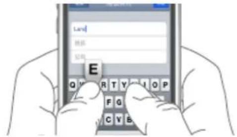 Plum Might - Text Input - 1