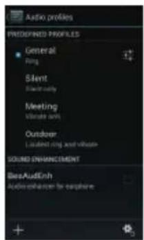 Audio profiles PREDEPINED PROFILES General Ring Sleit Electricity Meeting Volatile units Outdoor Launched ring and volume SOUND ENHANCEMENT BeeAudiEnh Audio-enhancer for capture