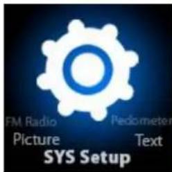 FM Radio Picture Pedometer Text SYS Setup