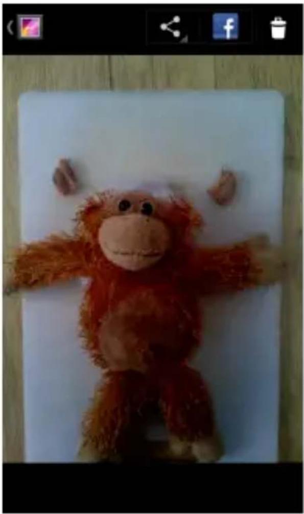 ZTE Telstra Frontier - Working With Pictures - 2