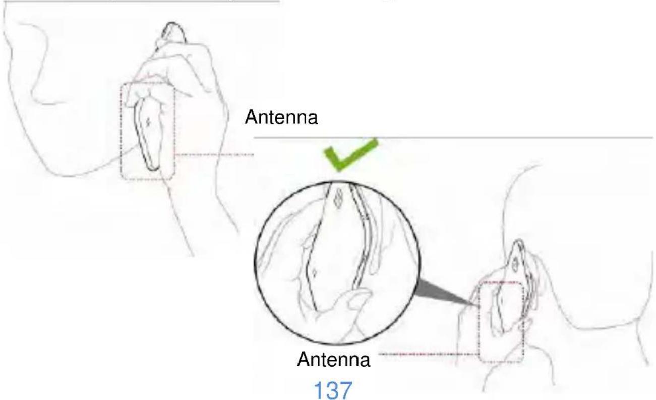 Antenna 137