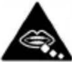 ZTE Idea 3G - For Your Safety - 5