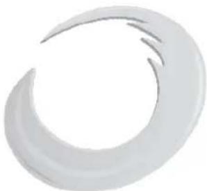 BRIGMTON BTPC-1025OC-B-N - BRIGMTON - 4