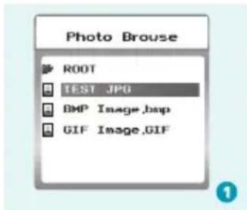 Photo Brouse ROOT TEST .JP0 BMP Image.bmp GIF Image.GIF