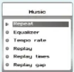 Music Repeat Equalizer Tempo rate Replay Replay times Replay gap