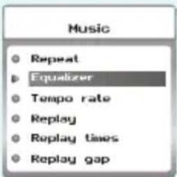 Music Repeat Equalizer Tempo rate Replay Replay times Replay gap