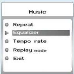 Music Repeat Equalizer Tempo rate Replay mode Exit