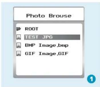 Photo Brouse ROOT TEST.JPG BMP Image.bmp GIF Image.GIF