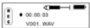 SYLVANIA SMP1003 - Recording function - 2
