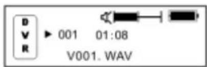DV R 001 01:08 V001. WAV