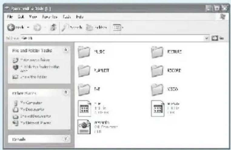 Removed to Disk [1.] File Edit View Favorites Tools Help Book Search Options File and Folder Tools • Draw macro folders • Find the folder list • Create this folder • New Maps • Computer • Documents • Shared Documents • Microsoft Pages Details LSC ECTUEC PLOT ECOPD FAT CECO F: 11 in 5:10:16 MPLs 1 File 1 PK MPTN Oil Documents 1 PK