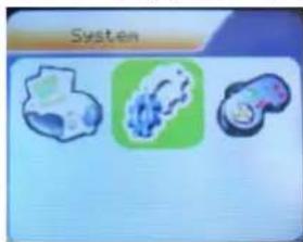System