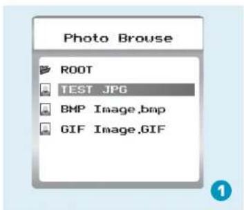 Photo Brouse ROOT TEST JPG BMP Image.bmp GIF Image.GIF