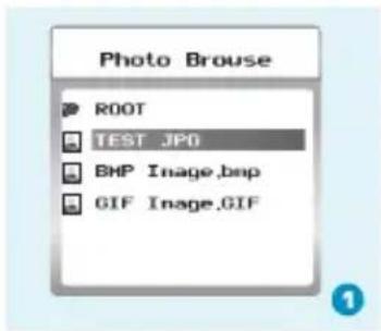 Photo Brouse ROOT TEST JPO BHP Image.bmp GIF Image.GIF