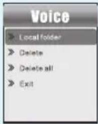 Voice Local folder Delete Delete all Exit