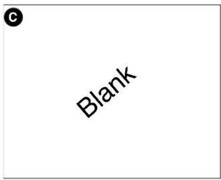 c Blank