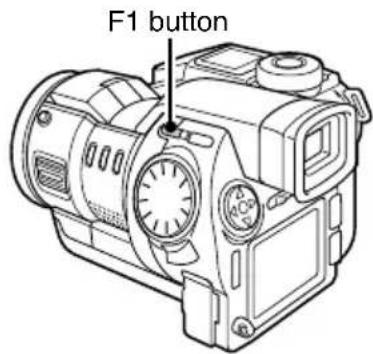SANYO IDC-1000ZE - Press the F1 button. - 1