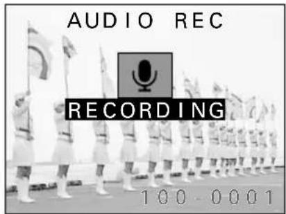 SANYO IDC-1000ZE - Press the shutter release button. - 3