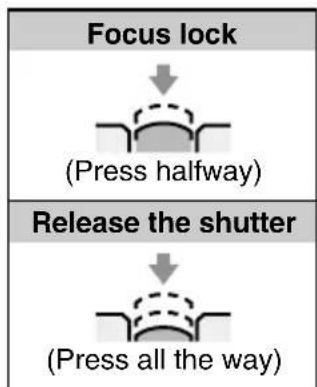SANYO IDC-1000ZE - Press the shutter release button. - 3