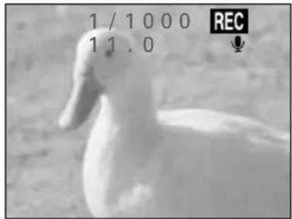 SANYO IDC-1000ZE - Press the shutter release button. - 2