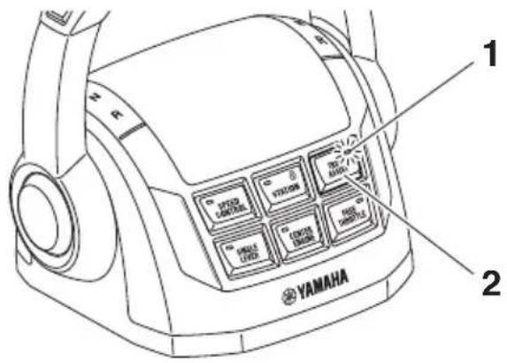 YAMAHA Heml Master (2017) - TIP: - 1