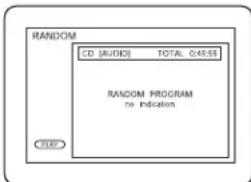 SHARP DV-SL20U - Random Playback - 1