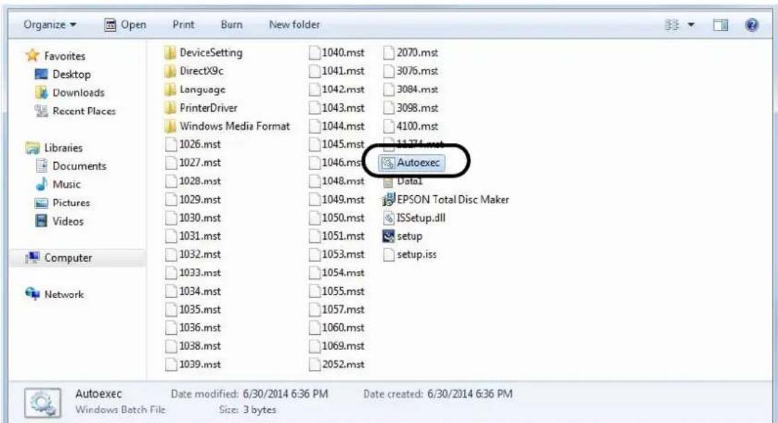 EPSON Discproducer PP-100BD - Creating an auto-executable file - 2