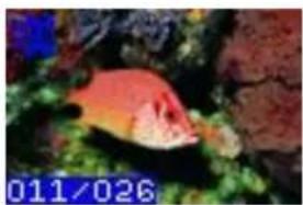 VIVITAR VS17G - PLAYBACK MODE - 1