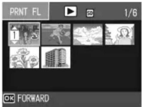 PRINT FL 1/6 OK FORWARD