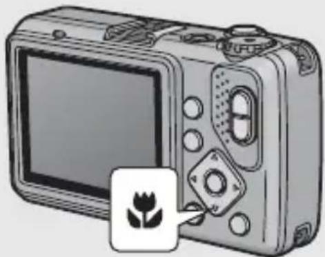RICOH Caplio G600 - With the camera ready to shoot, press the 🎨 button. - 1