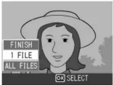 FINISH 1 FILE ALL FILES OK SELECT