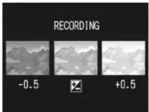 RECORDING -0.5 +0.5