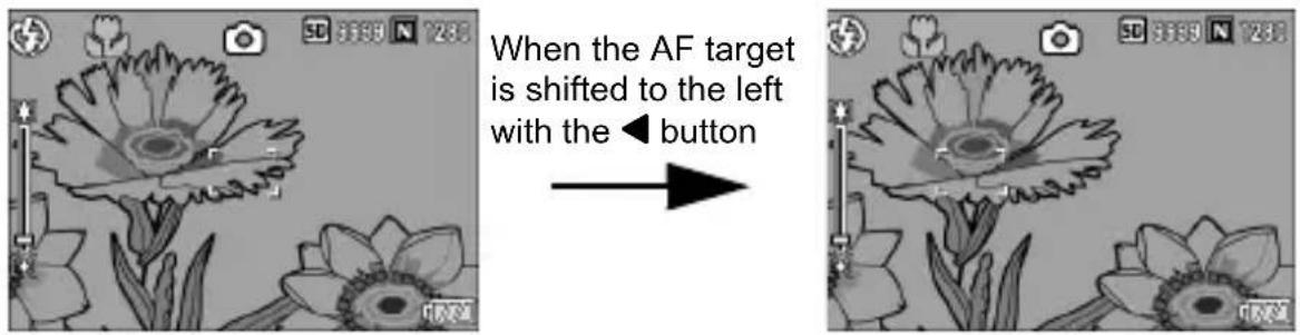 RICOH Caplio G600 - Shifting the AF Target (Macro) - 1