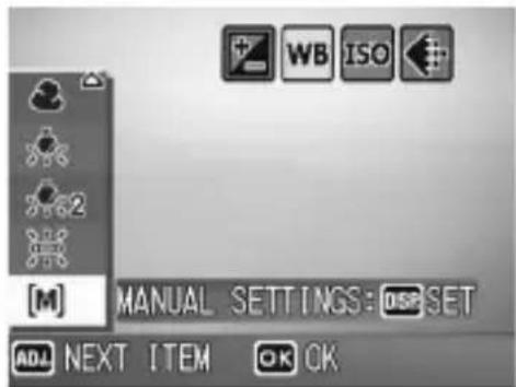 [M] MANUAL SETTINGS: DISP SET ADL NEXT ITEM OK OK