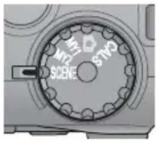 RICOH Caplio G600 - Shooting Movies - 1