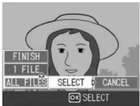 FINISH 1 FILE ALL FILES SELECT CANCEL OK SELECT