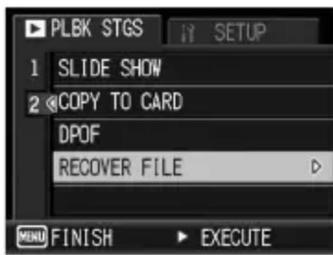 PLBK STGS 1 SLIDE SHOW 2 COPY TO CARD DPOF RECOVER FILE MENU FINISH EXECUTE
