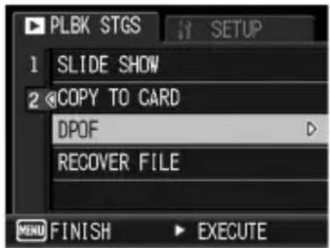 PLBK STGS 1 SLIDE SHOW 2 COPY TO CARD DPOF RECOVER FILE MENU FINISH EXECUTE