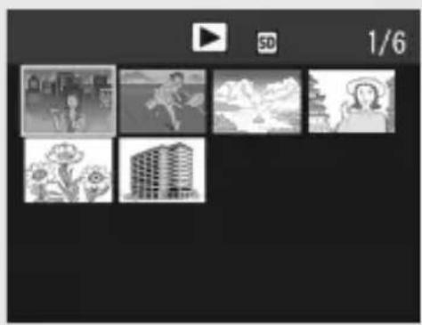 RICOH Caplio G600 - Press the ☐ (Thumbnail Display) button. - 2